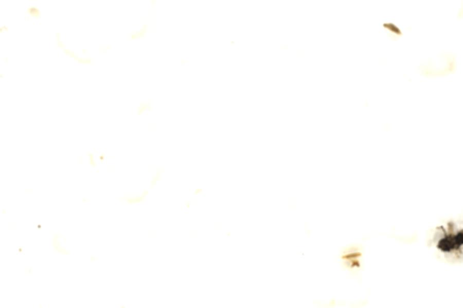 Image 107